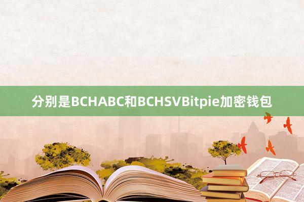 分别是BCHABC和BCHSVBitpie加密钱包