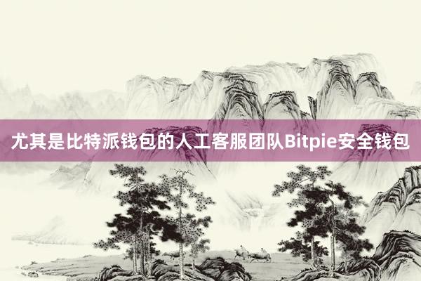 尤其是比特派钱包的人工客服团队Bitpie安全钱包