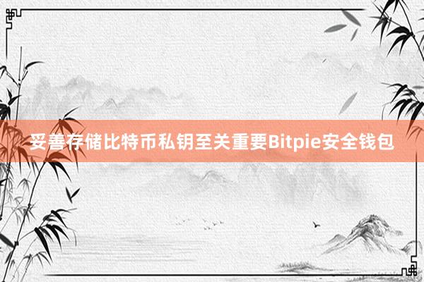 妥善存储比特币私钥至关重要Bitpie安全钱包