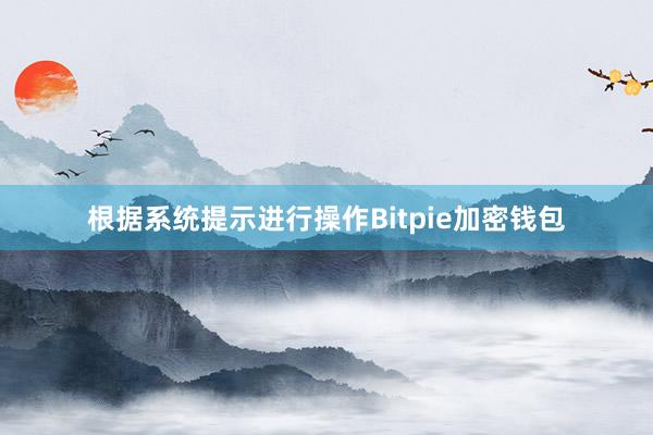 根据系统提示进行操作Bitpie加密钱包