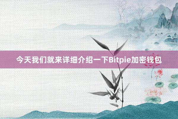 今天我们就来详细介绍一下Bitpie加密钱包