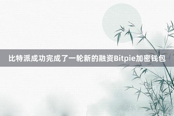 比特派成功完成了一轮新的融资Bitpie加密钱包