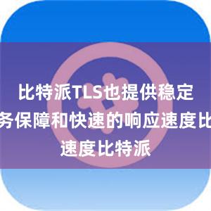 比特派TLS也提供稳定的服务保障和快速的响应速度比特派