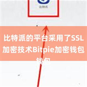 比特派的平台采用了SSL加密技术Bitpie加密钱包